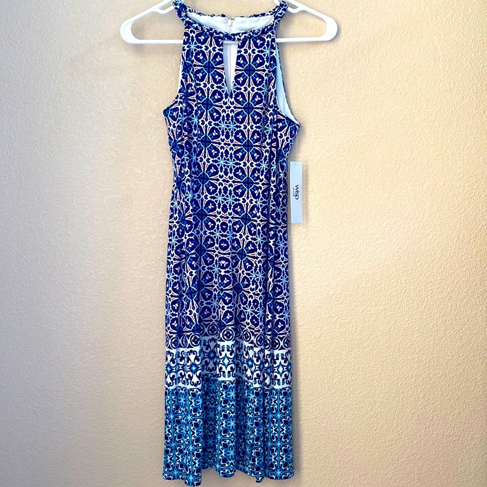 Wisp Dress Size 4P